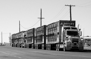 road-train picture