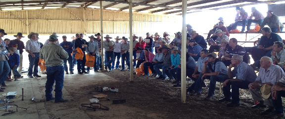 Predator Control Field Day - Longreach (Source: DAFF, Qld)