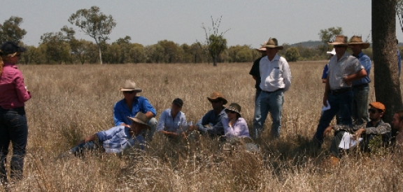 Farmers laying in a paddock