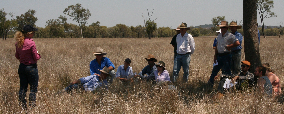 Farmers laying in a paddock
